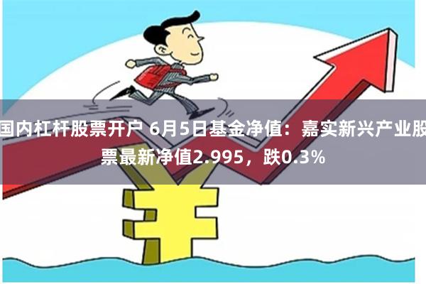 国内杠杆股票开户 6月5日基金净值：嘉实新兴产业股票最新净值2.995，跌0.3%