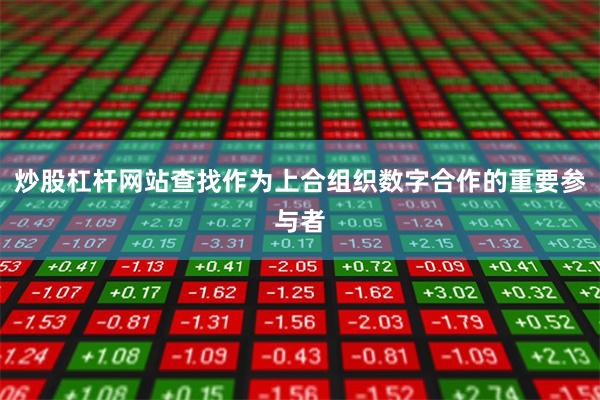 炒股杠杆网站查找作为上合组织数字合作的重要参与者